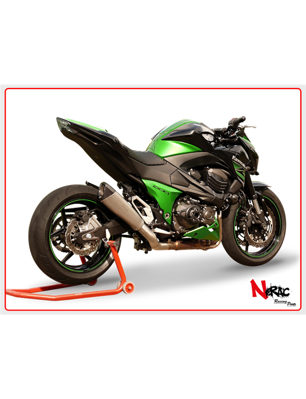 Terminali Evoxtreme 310mm Satin Hp Corse Kawasaki Z 800 2013/2016