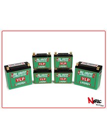 Batteria al Litio – Aliant YLP09B